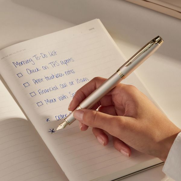 Parker IM Monochrome Champagne Fountain Pen